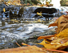 高速下载不卡的短信测压工具